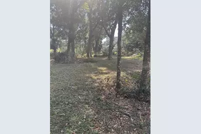 Tbd SW 111th Lane, Dunnellon, FL 34432 - Photo 6