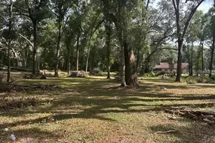 Tbd SW 111th Ln, Dunnellon, FL 34432 - Photo 1