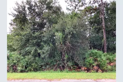 Odham Street, Orlando, FL 32833 - Photo 1