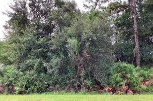 Odham St, Orlando, FL 32833 - Photo 1