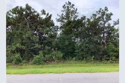 Oberly Parkway, Orlando, FL 32833 - Photo 1