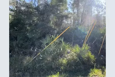 1645 11th Avenue, Deland, FL 32724 - Photo 1