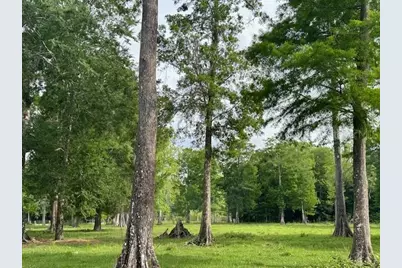 Tbd Corkwood Lane, Astatula, FL 34705 - Photo 24