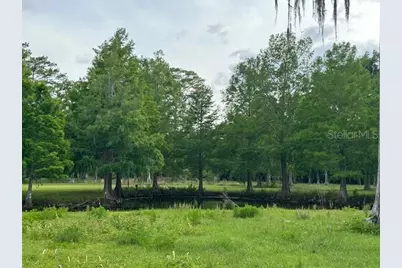Tbd Corkwood Lane, Astatula, FL 34705 - Photo 38