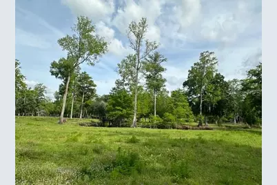 Tbd Corkwood Lane, Astatula, FL 34705 - Photo 14