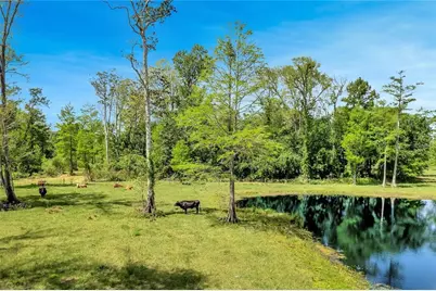 Tbd Corkwood Lane, Astatula, FL 34705 - Photo 4