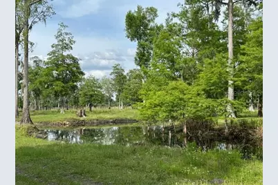 Tbd Corkwood Lane, Astatula, FL 34705 - Photo 18