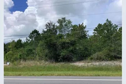 Dallas Boulevard, Orlando, FL 32833 - Photo 1