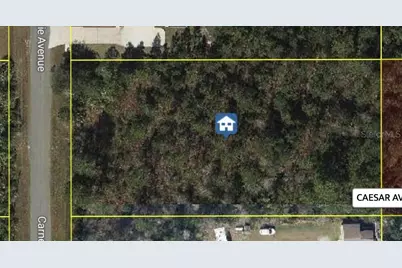 Carnegie Avenue, Orlando, FL 32833 - Photo 1