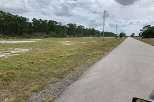 3611 NW 46th Ln, Cape Coral, FL 33993 - Photo 2