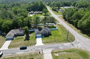 10333 N Halsey Way, Citrus Springs, FL 34434 - Photo 6