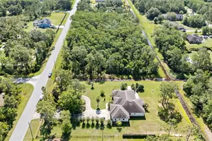 19562 Majestic St, Orlando, FL 32833 - Photo 18