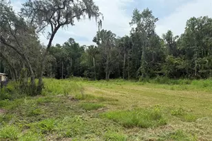 Okaloosa Trail, Sorrento, FL 32776 - Photo 1