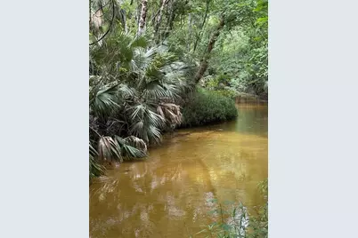 Okaloosa Trail, Sorrento, FL 32776 - Photo 4