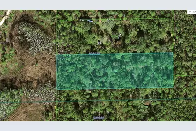 000 Dean Still Road, Davenport, FL 33897 - Photo 4