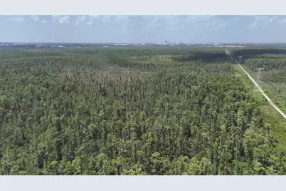 International Dr S, Orlando, FL 32821 - Photo 8