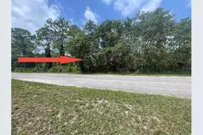 E Cashew Court, Eustis, FL 32736 - Photo 2