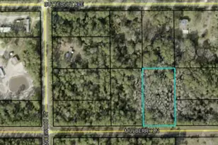 5414 Mulberry Ln, Bunnell, FL 32110 - Photo 1