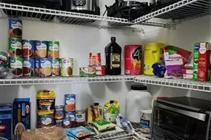 7620 Tangle Rush Dr, Gibsonton, FL 33534 - Photo 18