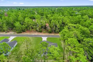 17501 SW 41st Cir, Ocala, FL 34473 - Photo 48