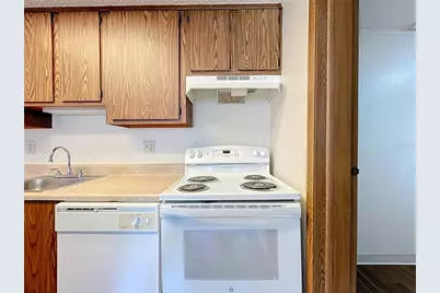 611 Mount Homer Road, Eustis, FL 32726 - Photo 8