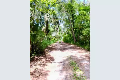 2700 Junction Road, Zellwood, FL 32798 - Photo 8