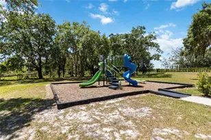 5639 Timber Mdw Wy, Saint Cloud, FL 34771 - Photo 22