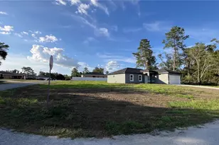 4121 SW 172nd Pl Rd, Ocala, FL 34473 - Photo 2