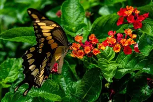 5564 Jack Brack Rd, Saint Cloud, FL 34771 - Photo 54