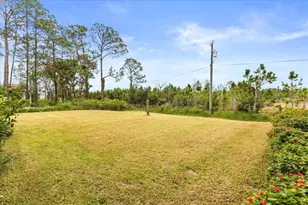 5564 Jack Brack Rd, Saint Cloud, FL 34771 - Photo 48