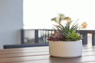 701 S Atlantic Ave, New Smyrna Beach, FL 32169 - Photo 62