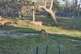 40140 Swift Rd, Eustis, FL 32736 - Photo 36