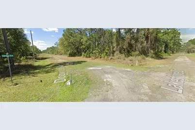423 Dogwood Avenue, Georgetown, FL 32139 - Photo 10