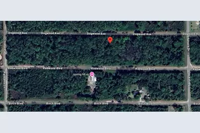423 Dogwood Avenue, Georgetown, FL 32139 - Photo 12