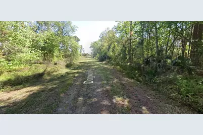 423 Dogwood Avenue, Georgetown, FL 32139 - Photo 1