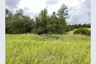 1362 Homosassa Drive, Kissimmee, FL 34759 - Photo 2