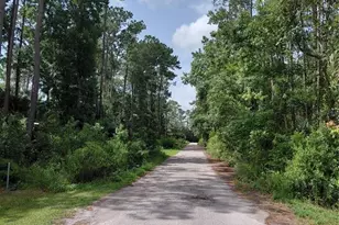 James St, Astor, FL 32102 - Photo 1