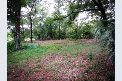 118 Millcreek Drive, Melrose, FL 32666 - Photo 38