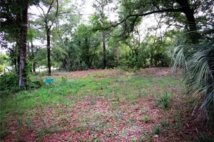 118 Mill Creek Dr, Melrose, FL 32666 - Photo 38