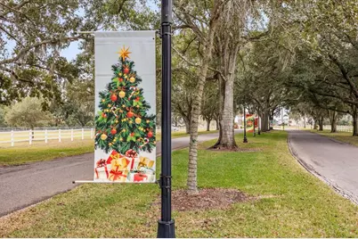 3928 N Citrus Circle, Zellwood, FL 32798 - Photo 40