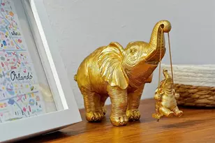 3308 Tranquil Trl, Kissimmee, FL 34747 - Photo 18