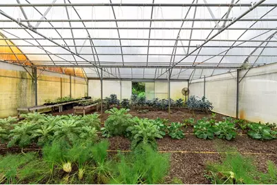 2026 Lewis Road, Leesburg, FL 34748 - Photo 86