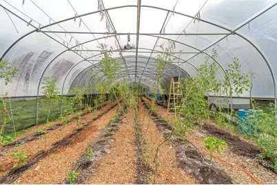 2026 Lewis Road, Leesburg, FL 34748 - Photo 80