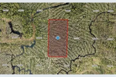 Calvin Lee Road, Groveland, FL 34736 - Photo 4