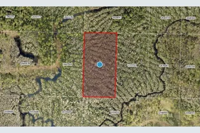 Calvin Lee Road, Groveland, FL 34736 - Photo 2