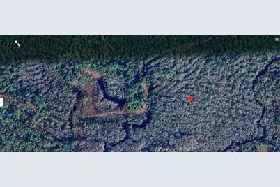 Calvin Lee Road, Groveland, FL 34736 - Photo 8