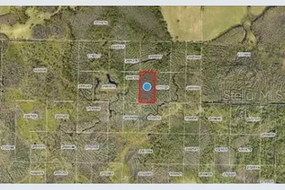 Calvin Lee Road, Groveland, FL 34736 - Photo 6