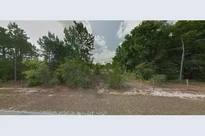 Calvin Lee Road, Groveland, FL 34736 - Photo 10