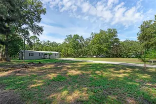 18166 Lynbrook Rd, Orlando, FL 32820 - Photo 10