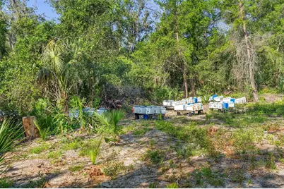 1835 S Glencoe Road, New Smyrna Beach, FL 32168 - Photo 18